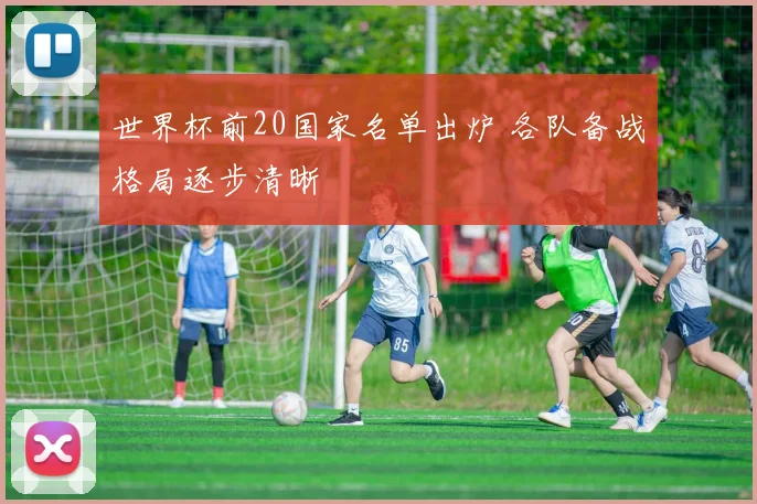 世界杯前20国家名单出炉 各队备战格局逐步清晰